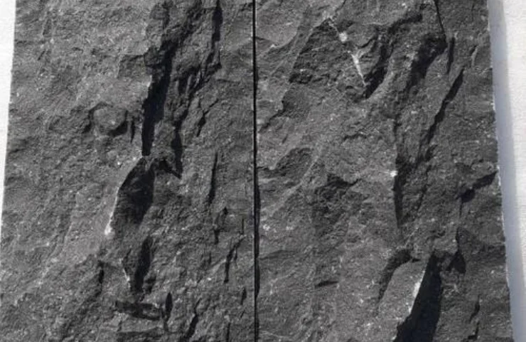 Basalt Stones Suppliers In Navi Mumbai, Pune, India